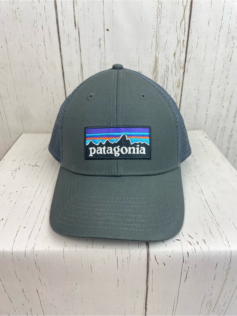 Patagonia Logo Trucker Organic Cotton SnapBack Hat